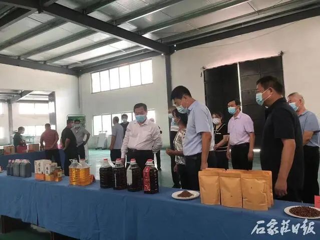 石家庄市举办“花椒采摘节”助推乡村振兴