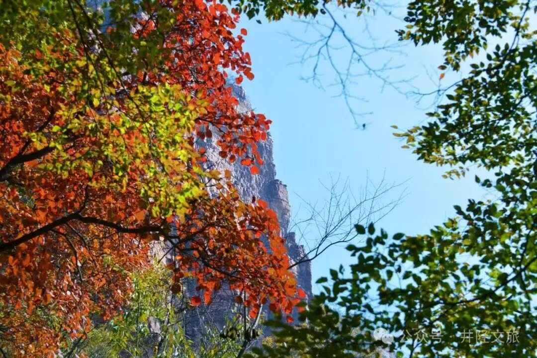 赴秋日之约！这条公交专线已开通