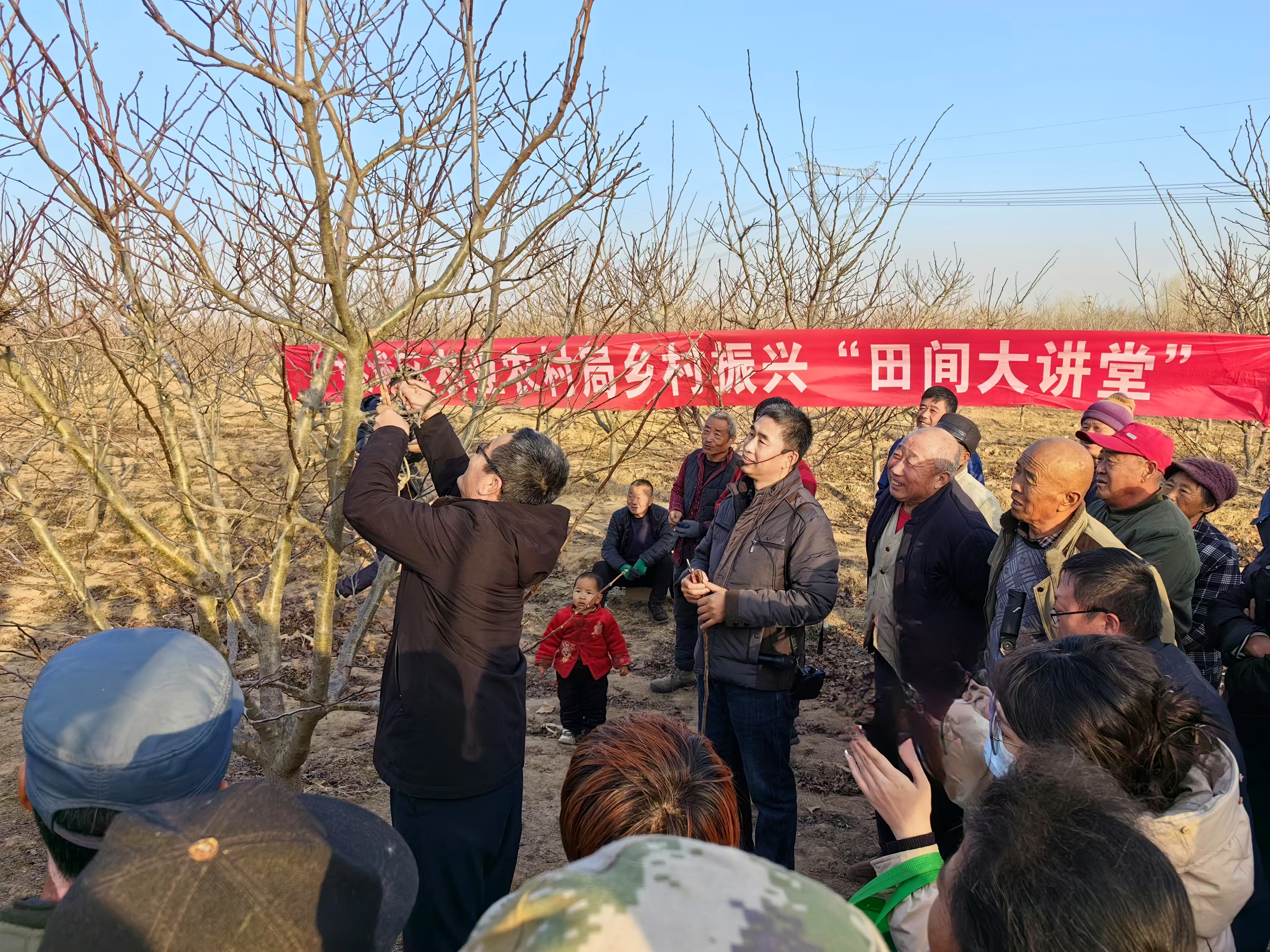 协同发展谱新篇|建好“菜园子” 丰盈“菜篮子” 衡水桃城区高品质果蔬产业蓬勃发展