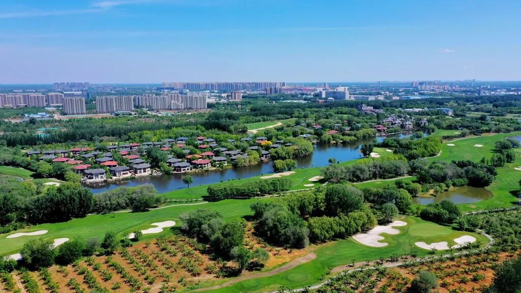 廊坊联动京津共建“中试+”生态圈