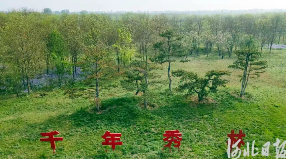 雄安新区九大典范建设全面提能级